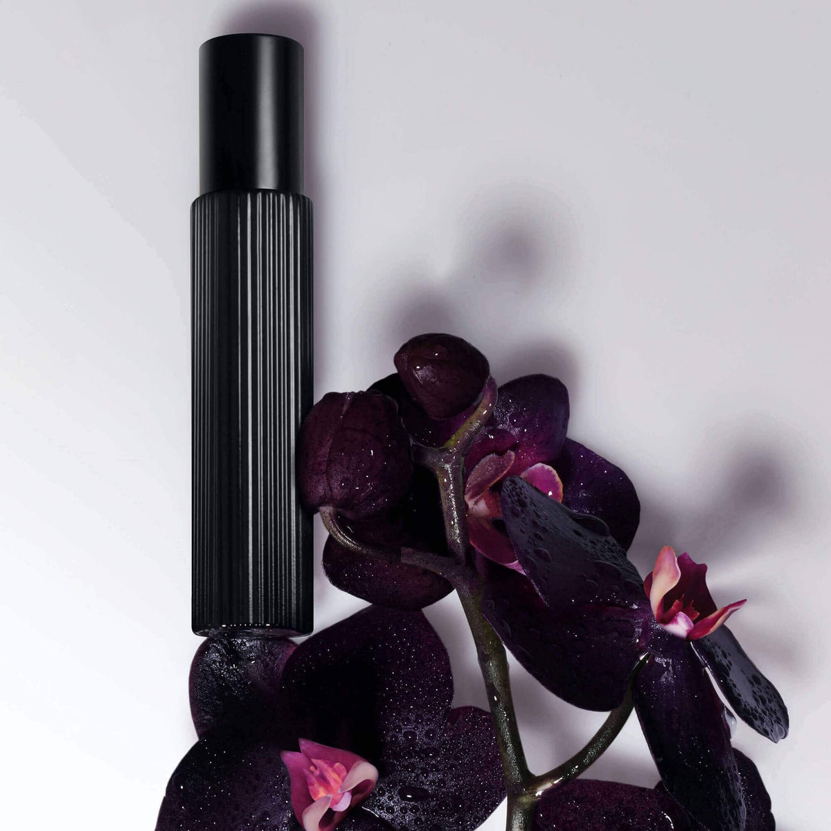 Black Orchid Eau de Parfum