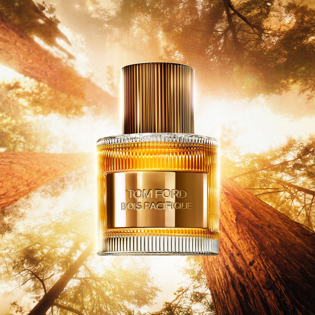 Bois Pacifique Eau de Parfum